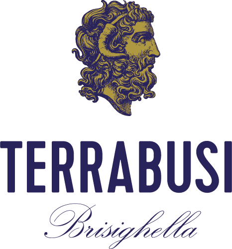 logo x concorso